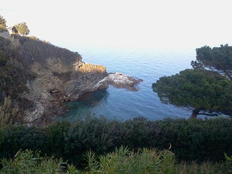 Appartamenti Estivi Anna E Pino Rio Marina Bagian luar foto